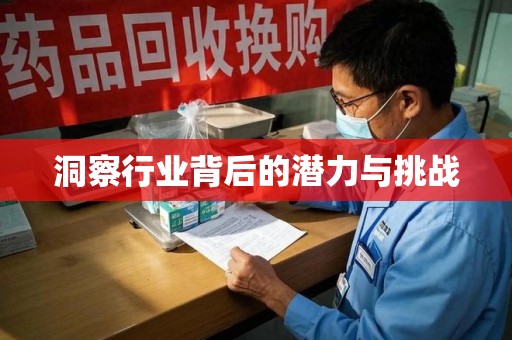 台州洞察行业背后的潜力与挑战