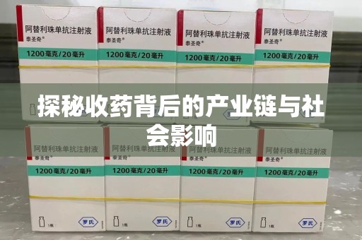 台州探秘收药背后的产业链与社会影响