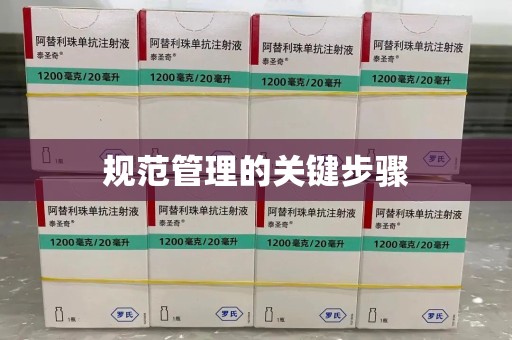 台州规范管理的关键步骤